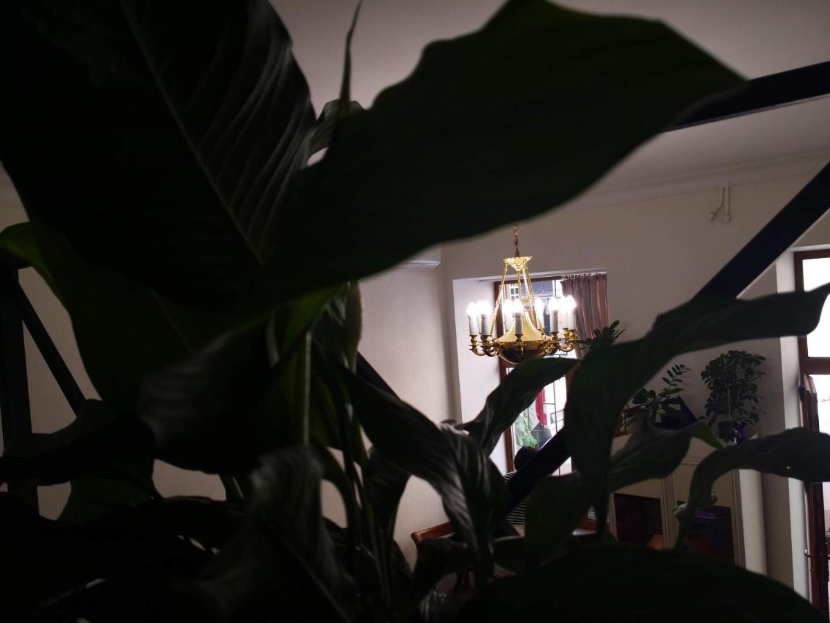 Затишні Апартаменти, Вулиця Дерибасівська, 13 Odessa Luaran gambar